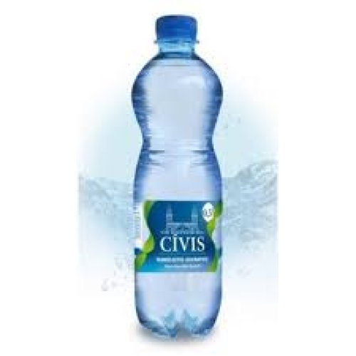 Szénsavas ásványvíz 0,5 liter